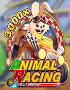 วิธีเล่นเจมส์ บอนด์ คาสิโน รอยัล สำหรับมือใหม่